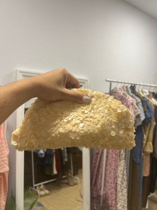 Bolso de mano lentejuelas